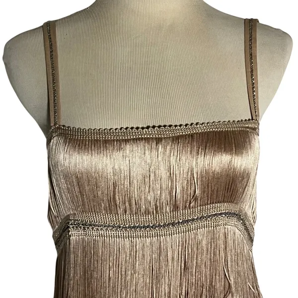 Zara Fringe Mini Dress Women Small Champagne Gold Flapper Chain Detail NWT - Image 2