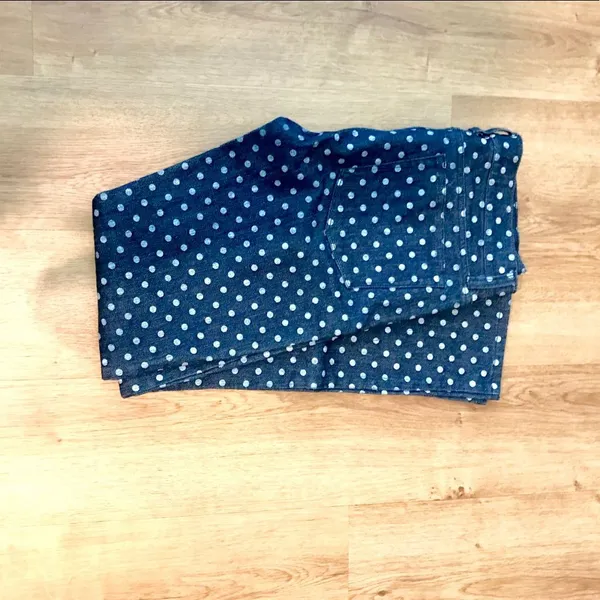 J Crew Toothpick Ankle Skinny Polka Dot Jeans Sz 25 - Image 4