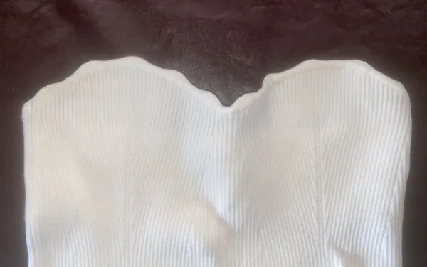 Aritzia Tube Top - Image 2