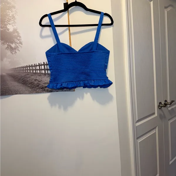 Bog Collective Royal Blue Satin Sweetheart Crop Top Size Large - Image 3