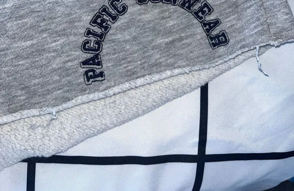 PacSun Gray Shorts - Image 2