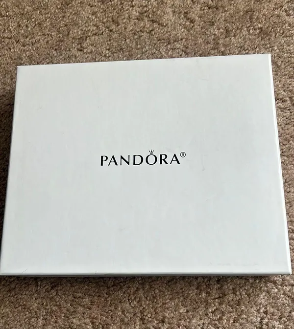Pandora Cream Clutch With Box - Image 5