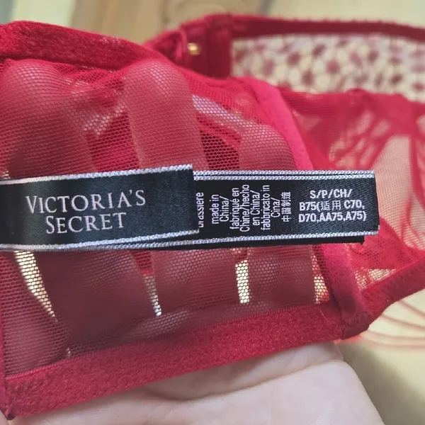 Victoria's Secret Scarlet Mesh Bralette - Image 3