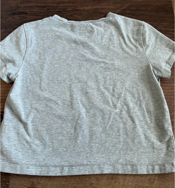 Gold Hinge Crop Top - Image 3