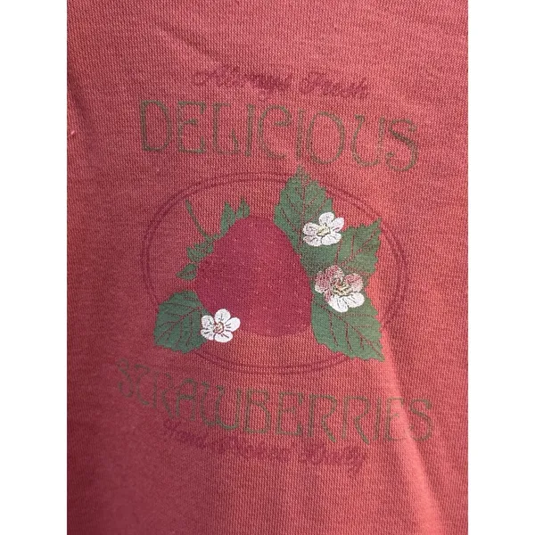 PacSun Delicious Strawberries Hoodie Size‎ Large - Image 5