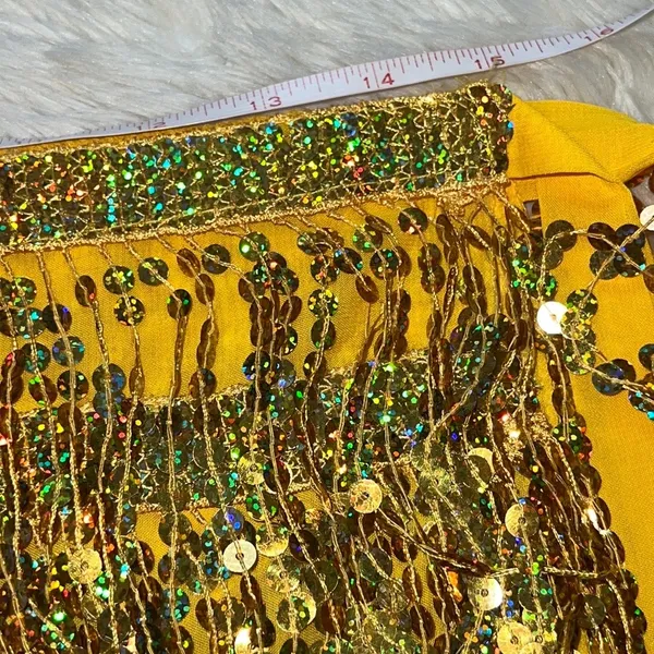 Sequin Fringe Costume Skirt Gold Size undefined - Image 3