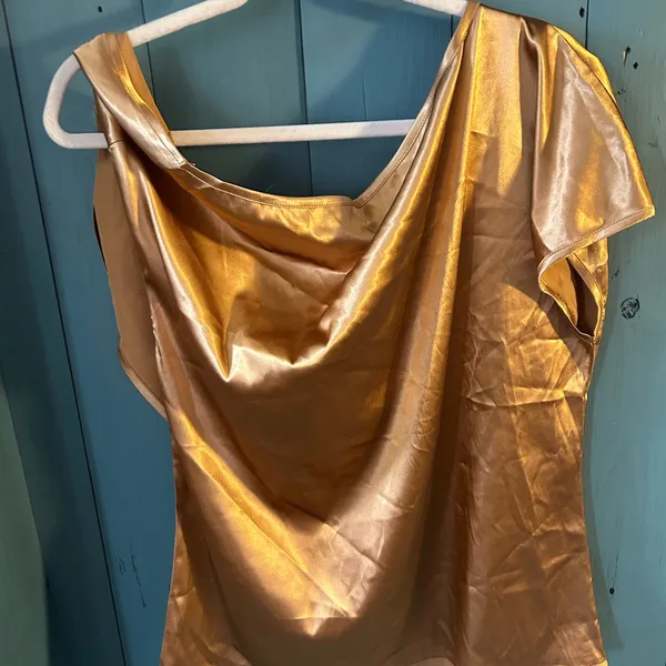NWT Vidussa Caramel Brown Silky Off The Shoulder Blouse, Sz Large - Image 5