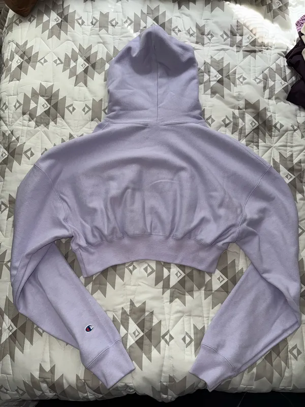 Champion Cropped Hoodie - Image 4