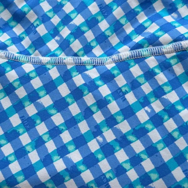 Lilly Pulitzer Blue & White Gingham Mini Skirt - Image 10
