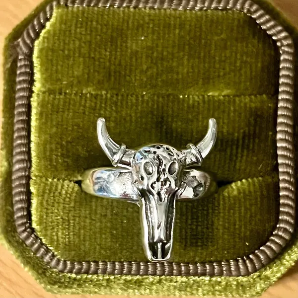 Bull Skull Ring Silver Longhorn Titanium Steel Silver Ring Size 6 - Image 2