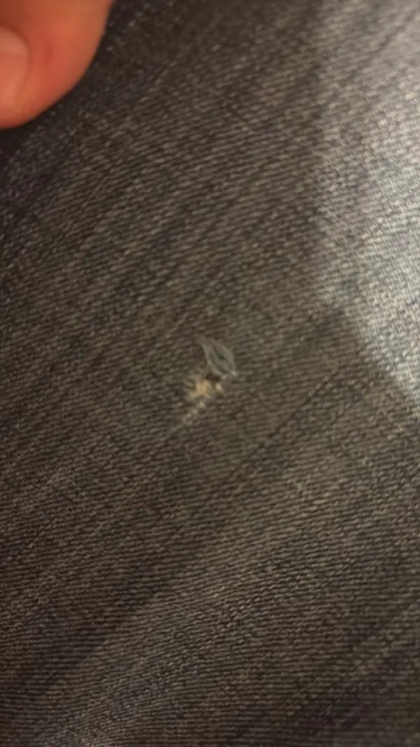 Ariat Trouser Jeans - Image 3