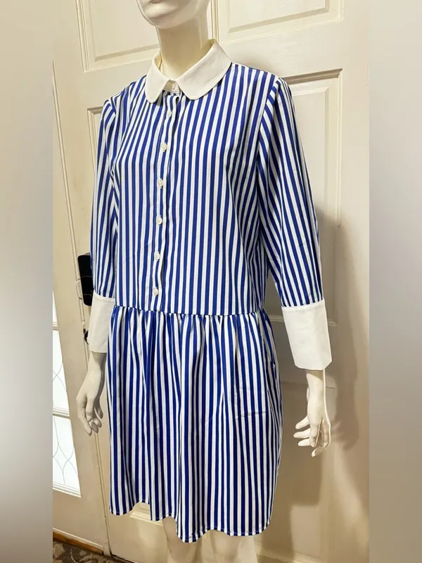 Tuckernuck Blue and White Striped Button-Front Shirt Dress Size Medium - Image 4
