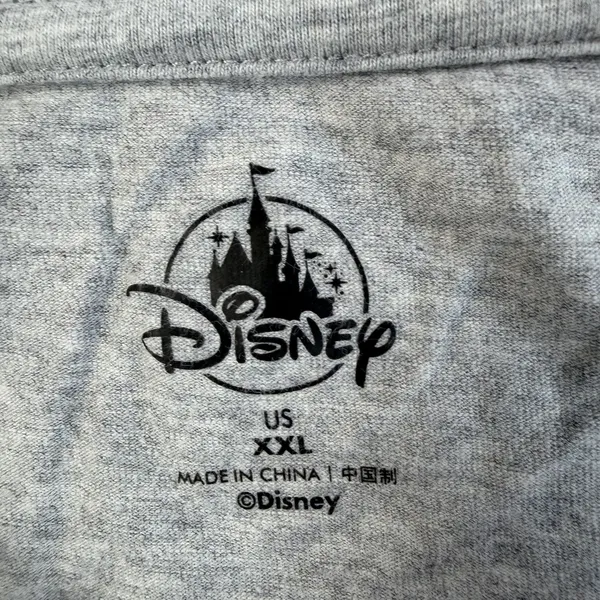 Disney Walt Disney World Minnie Mouse & Friends Park Icons Sweatshirt Womens XXL - Image 4