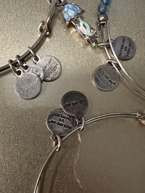 Alex and Ani Bangle Charm Bracelet - Image 5
