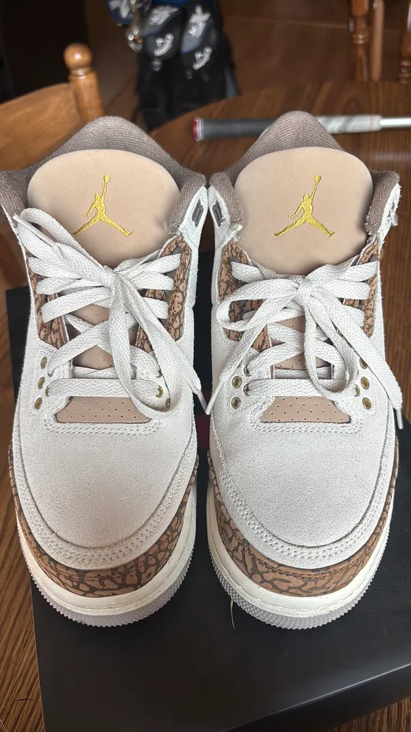 Air Jordan 3 retro (GS) Orewood - Image 7