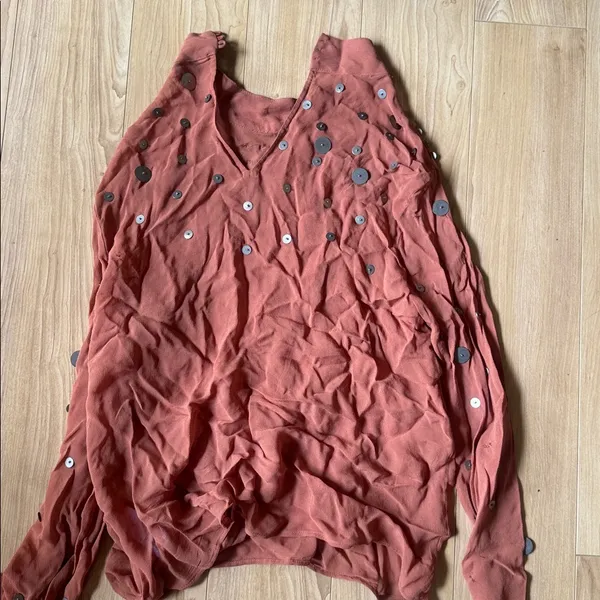 Zara Terracotta Sequin Blouse - Image 3