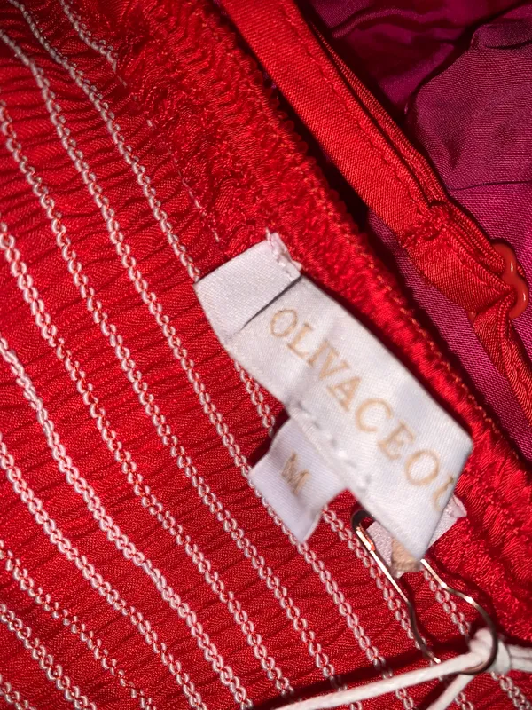 Impeccable Pig Dress - Image 3