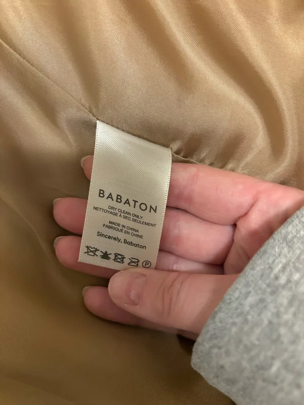 Babaton Aritzia Blazer - Image 3
