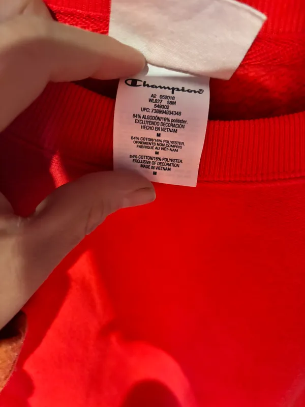 Champion Sweatshirt - Image 5