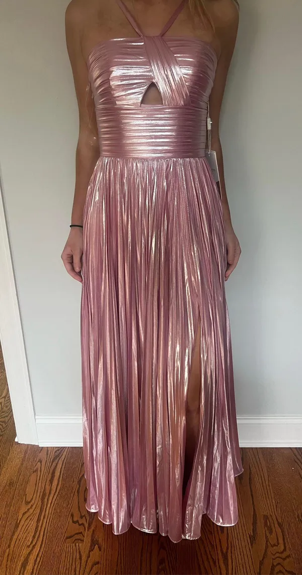 Blush Pink Pleated Prom/Formal Dress - Image 6