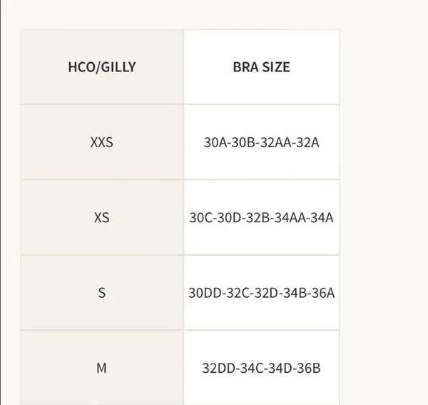 Hollister NWT  Bikini Top - Image 5