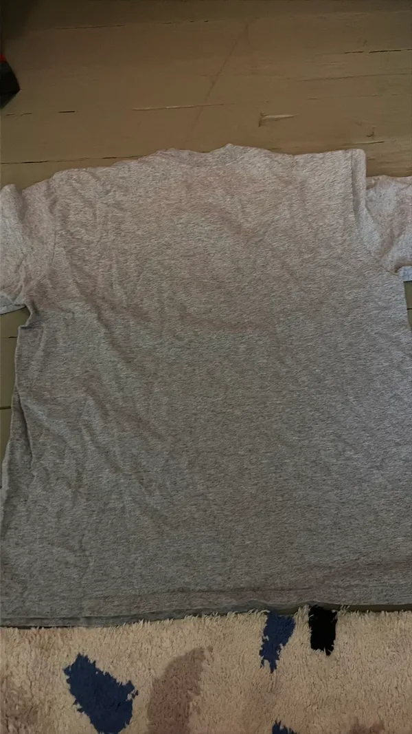 Champion Georgia gymdogs grey shirt - Image 3