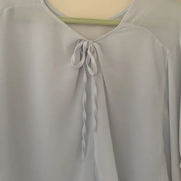 Sheer Blouse Size L - Image 3