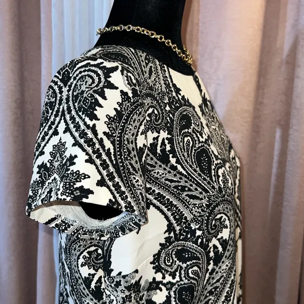 Zara Woman Size L Paisley Short Sleeved Dress - Image 4