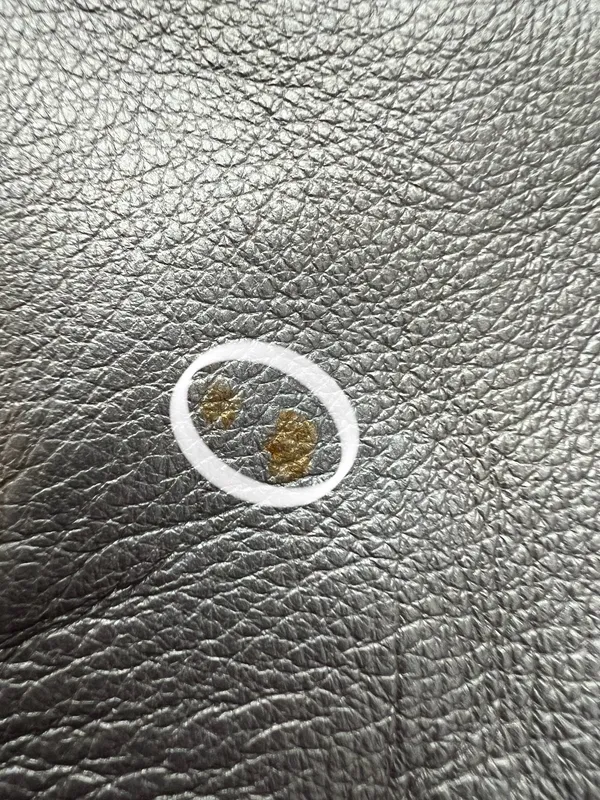 Coach | ladies Kelsey crossbody satchel handbag. - Image 19