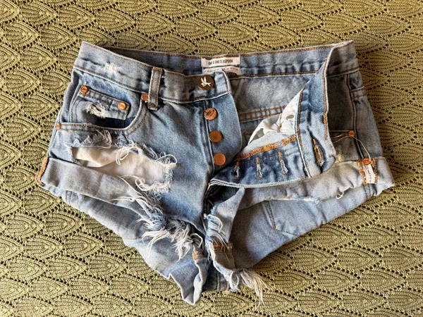 One x Teaspoon Bandit Shorts - Image 3