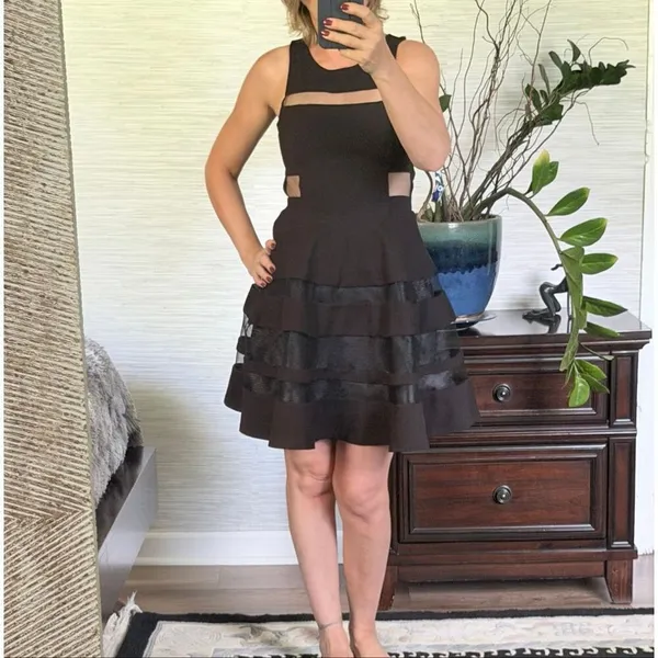 Parker $330 MSRP Black Mesh Cutout Fit & Flare Conner Party Dress Size Small - Image 11