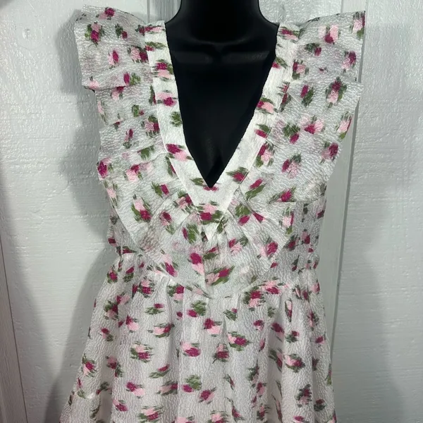 BUDDY LOVE Womens Maddison Ruffle Sleeves Short Dress Size Small EUC - Image 3