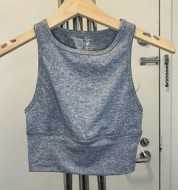 Celestial Bodiez Cropped High Neck Bra Top in Gray with a Cut Out Back - Image 2
