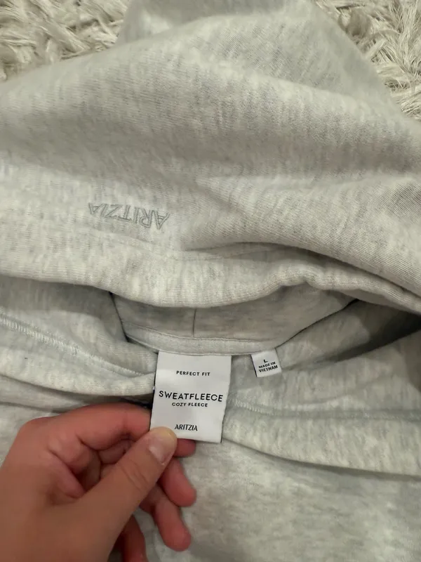 Aritzia Perfect Hoodie - Image 3
