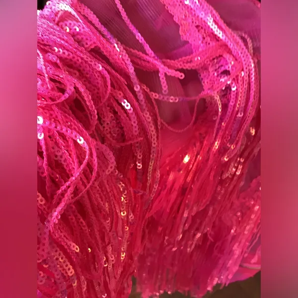 Dressy sequined fringe top NWT 💖💖💖 - Image 9