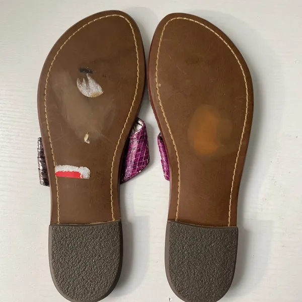 Sam Edelman Women's Purple and grey color Slides/Sandals - Image 2