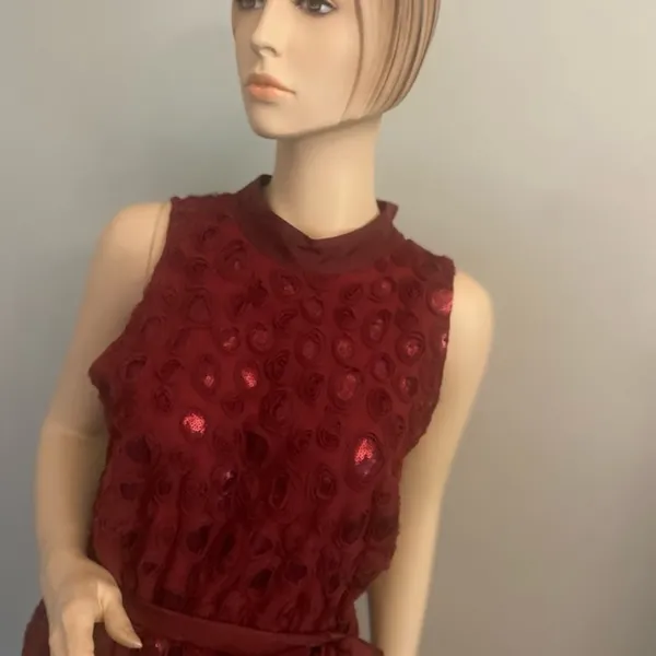 Nwt Anthropology Wine Boardx 3 -D Floral Dress Sz‎ 10 - Image 7