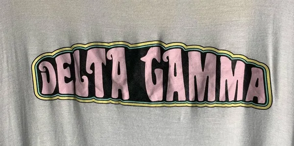 The Social Life Delta Gamma DG Sorority Bid Day 2017 Top size Medium - Image 5