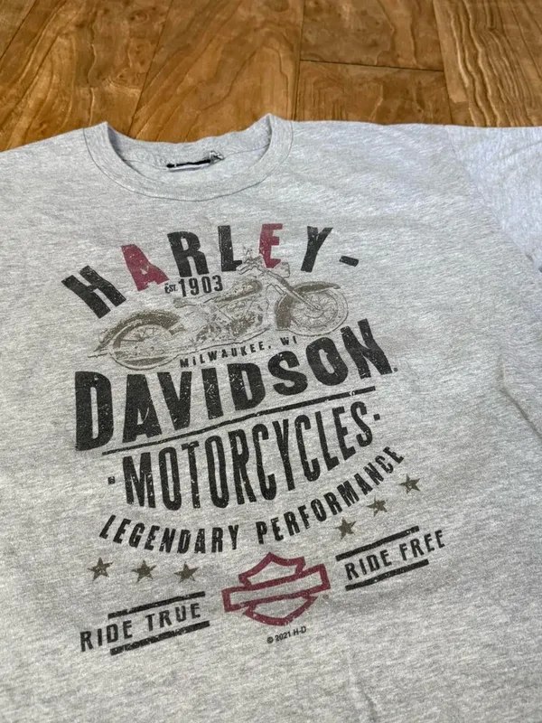 Harley-Davidson Light Gray Short Sleeve Logo Tee with Maroon Accents - Image 2