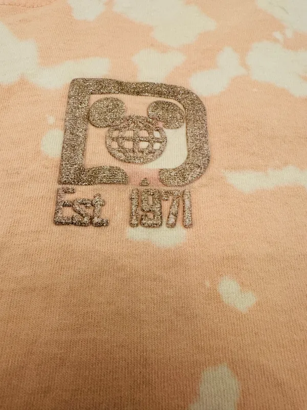 Disney Spirit Jersey Womens Small Walt Disney World Spell Out Bleach Design - Image 4