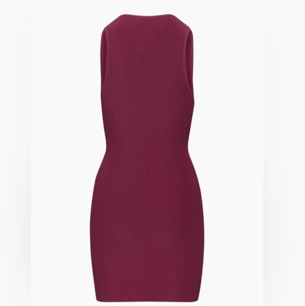 Aritzia Babaton Mini Dress - Image 2