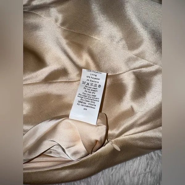 NWOT HOUSE OF CB Vittoria Champagne Chiffon Floor Length Gown sz XS - Image 10