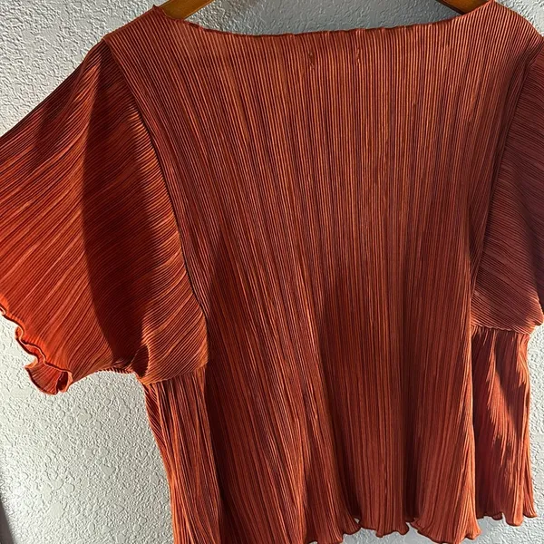 Madewell Texture & Thread Micropleat Top in Burnt Orange - Image 8