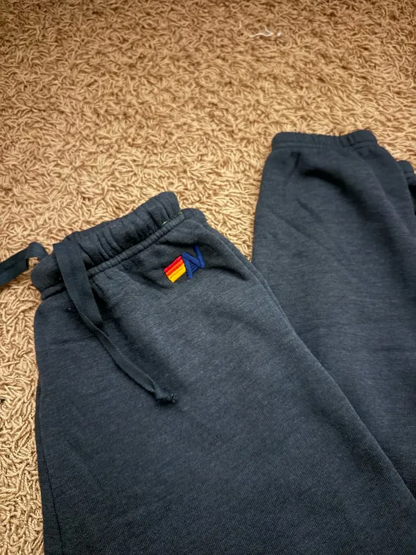 Aviator Nation Logo Sweatpants Charcoal - Image 4