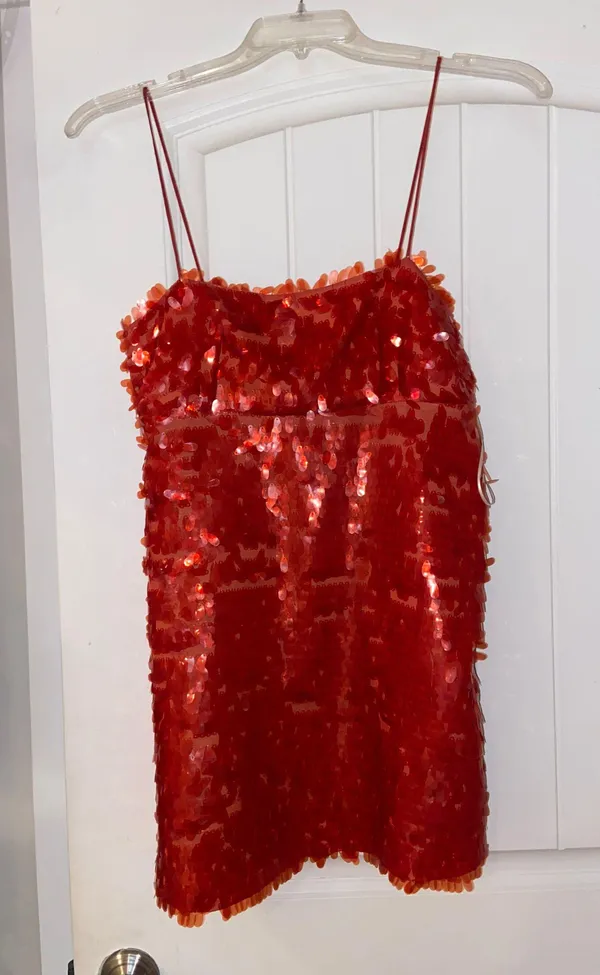 ZARA Dress - Image 2