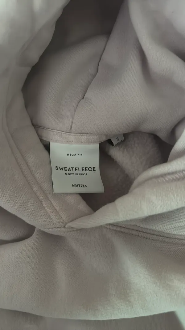 Aritzia Hoodie - Image 2