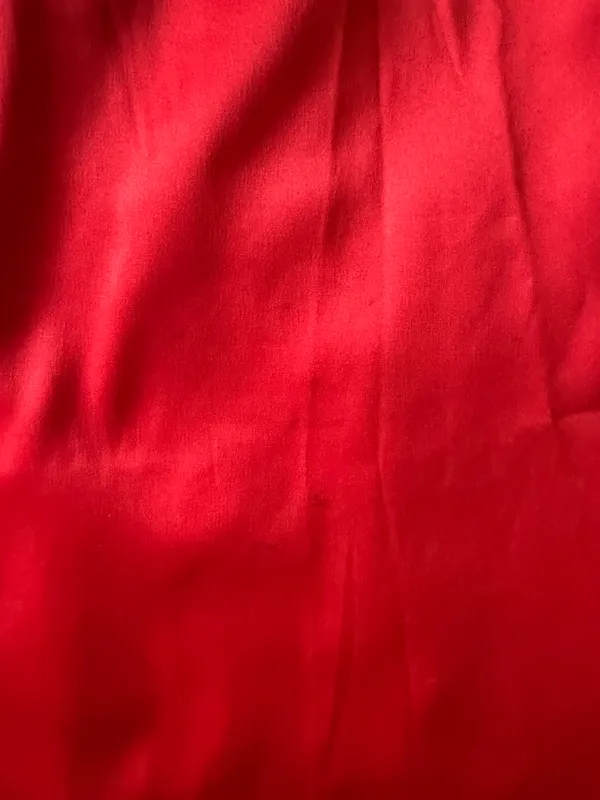 Amazon Red Satin Lace Dress - Image 4