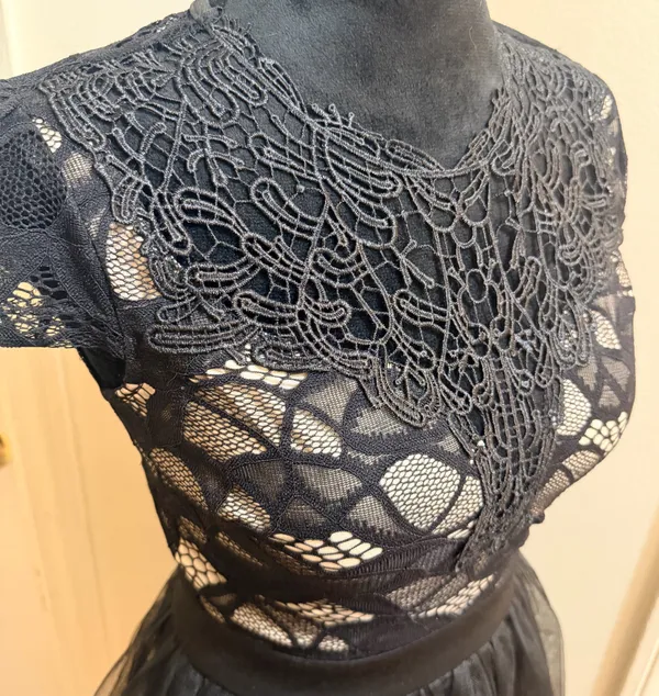 Privy Lace Illusion Tulle Fit & Flare Cocktail Mini Dress - Size S - NWT - Image 5