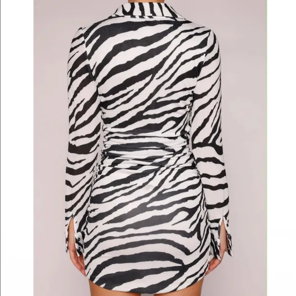 Tigermist Dress - Image 12
