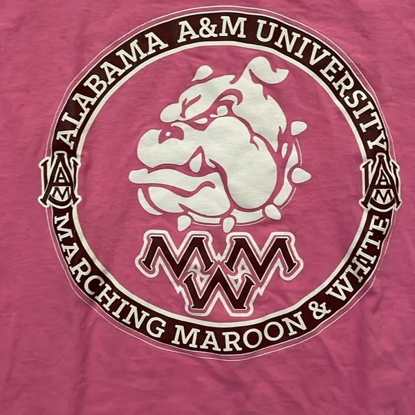 Gildan Alabama A&M University Pink Short Sleeve T-Shirt Womens Size Large - Image 2